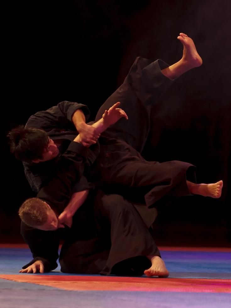 Aiki Jujutsu