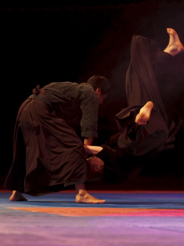 Aiki Jujutsu