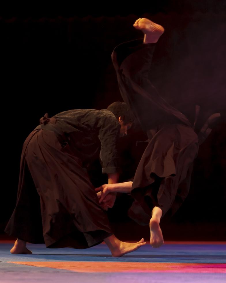 Aiki Jujutsu