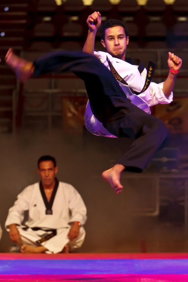 Taekwondo