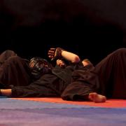Aiki Jujutsu